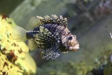 Technopole de la Mer à Toulon dans le Var 83